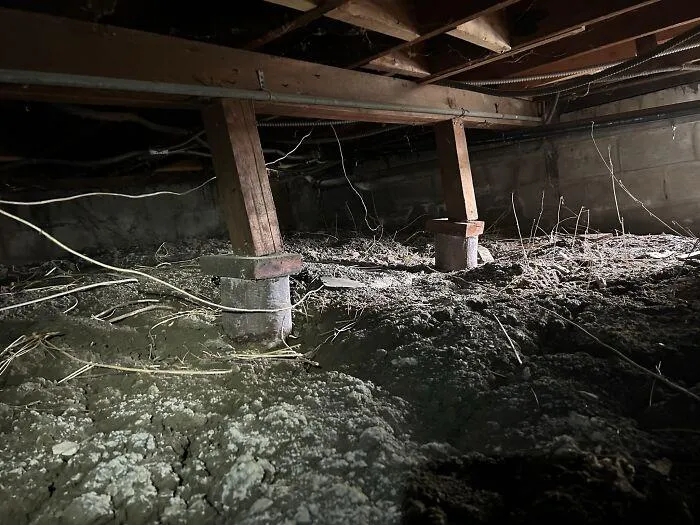 50 Horrifying Things Workers Saw During Structural Inspections (Best Of All Time)
