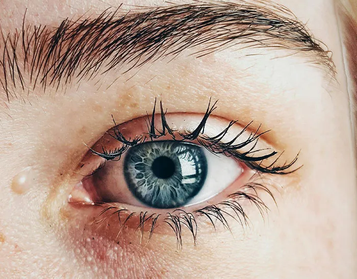 “Today I Learned”: 50 Cool Things People Just Discovered (New Posts)