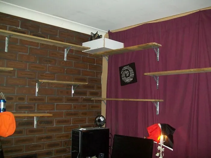 30 Times Creative People Came Up With Cool DIY Ideas To ‘Catify’ Their Homes