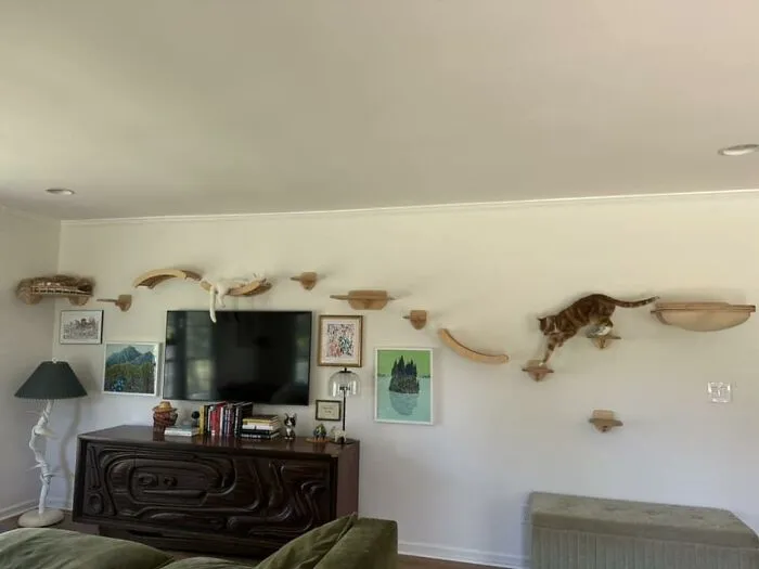 30 Times Creative People Came Up With Cool DIY Ideas To ‘Catify’ Their Homes