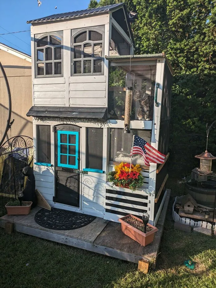 30 Times Creative People Came Up With Cool DIY Ideas To ‘Catify’ Their Homes