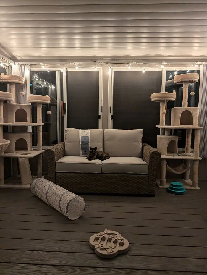 30 Times Creative People Came Up With Cool DIY Ideas To ‘Catify’ Their Homes