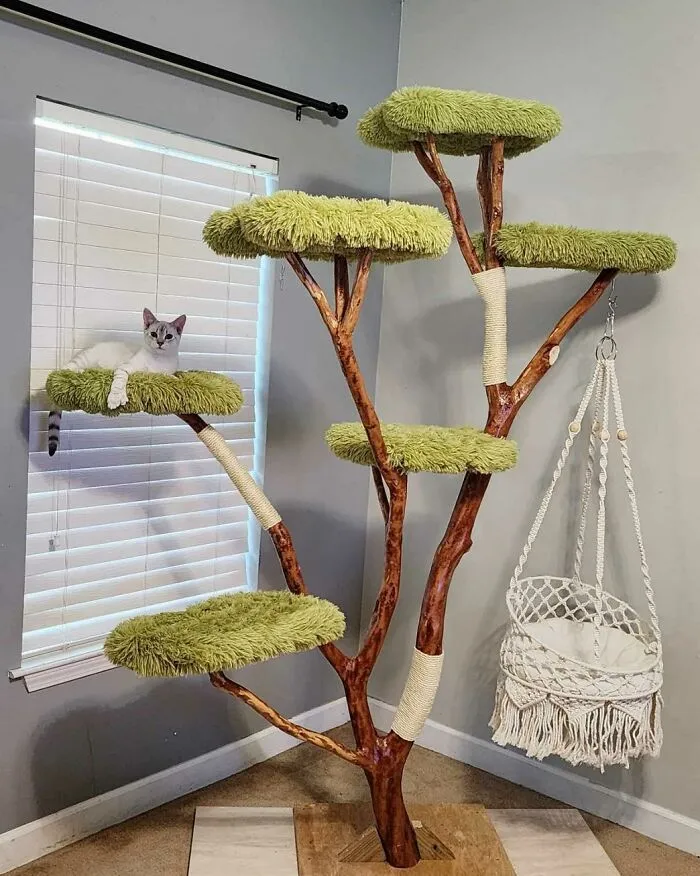 30 Times Creative People Came Up With Cool DIY Ideas To ‘Catify’ Their Homes