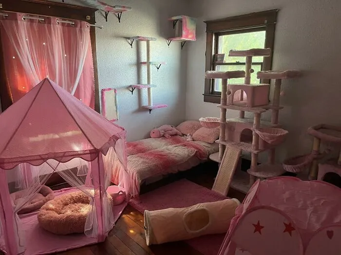 30 Times Creative People Came Up With Cool DIY Ideas To ‘Catify’ Their Homes