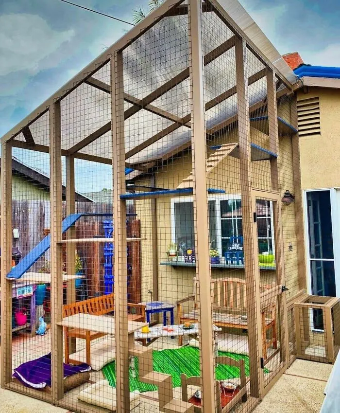 30 Times Creative People Came Up With Cool DIY Ideas To ‘Catify’ Their Homes