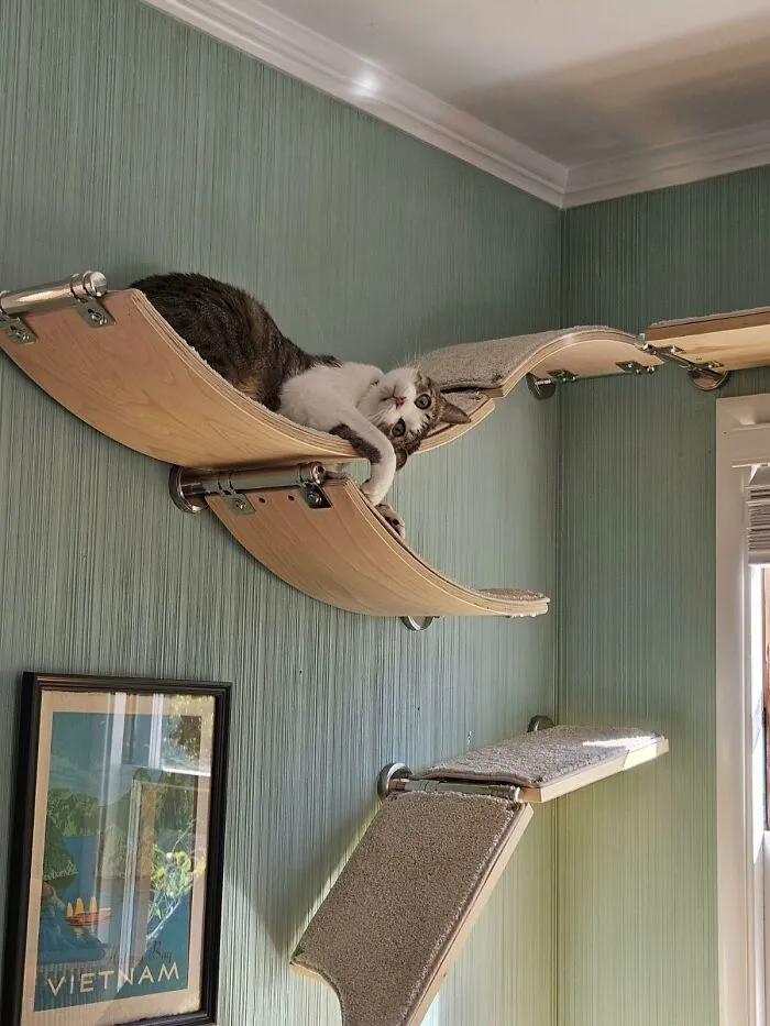 30 Times Creative People Came Up With Cool DIY Ideas To ‘Catify’ Their Homes