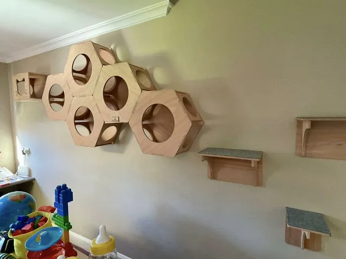 30 Times Creative People Came Up With Cool DIY Ideas To ‘Catify’ Their Homes