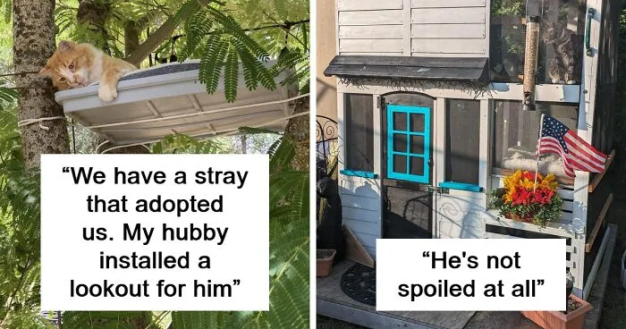 30 Times Creative People Came Up With Cool DIY Ideas To ‘Catify’ Their Homes