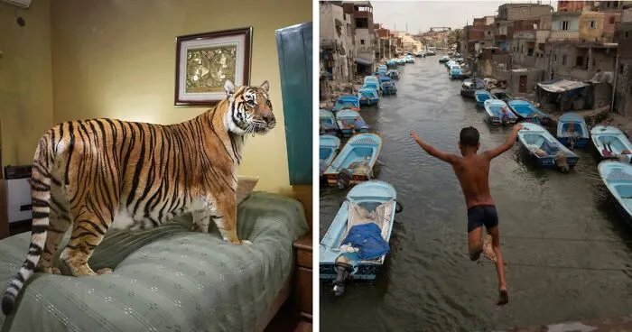 30 Captivating Winning Images Of This Year's 1839 Awards