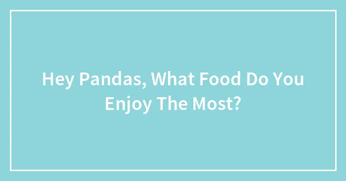 Hey Pandas, What Food Do You Enjoy The Most? (Closed)