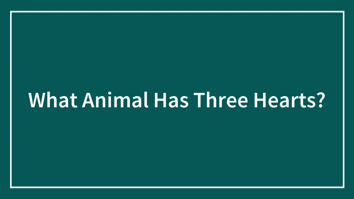 What Animal Has Three Hearts?