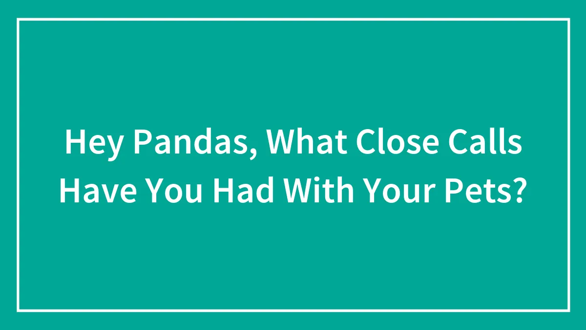 Hey Pandas, What Close Calls Have You Had With Your Pets? (Closed)