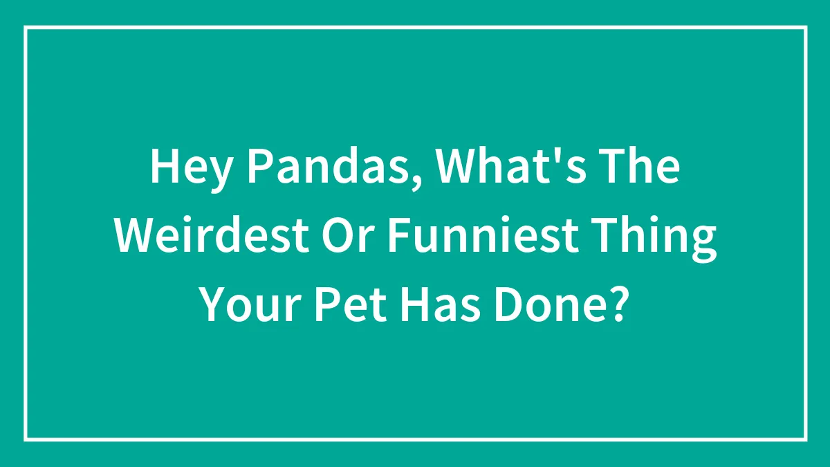 Hey Pandas, What's The Weirdest Or Funniest Thing Your Pet Has Done? (Closed)