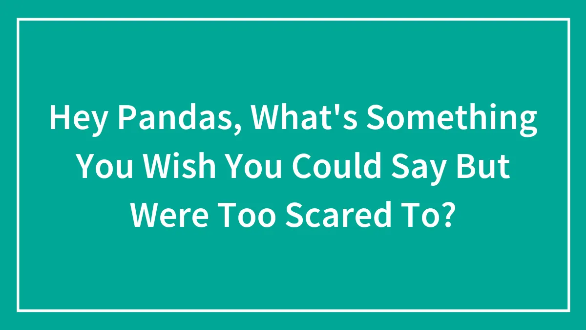 Hey Pandas, What's Something You Wish You Could Say But Were Too Scared To? (Closed)