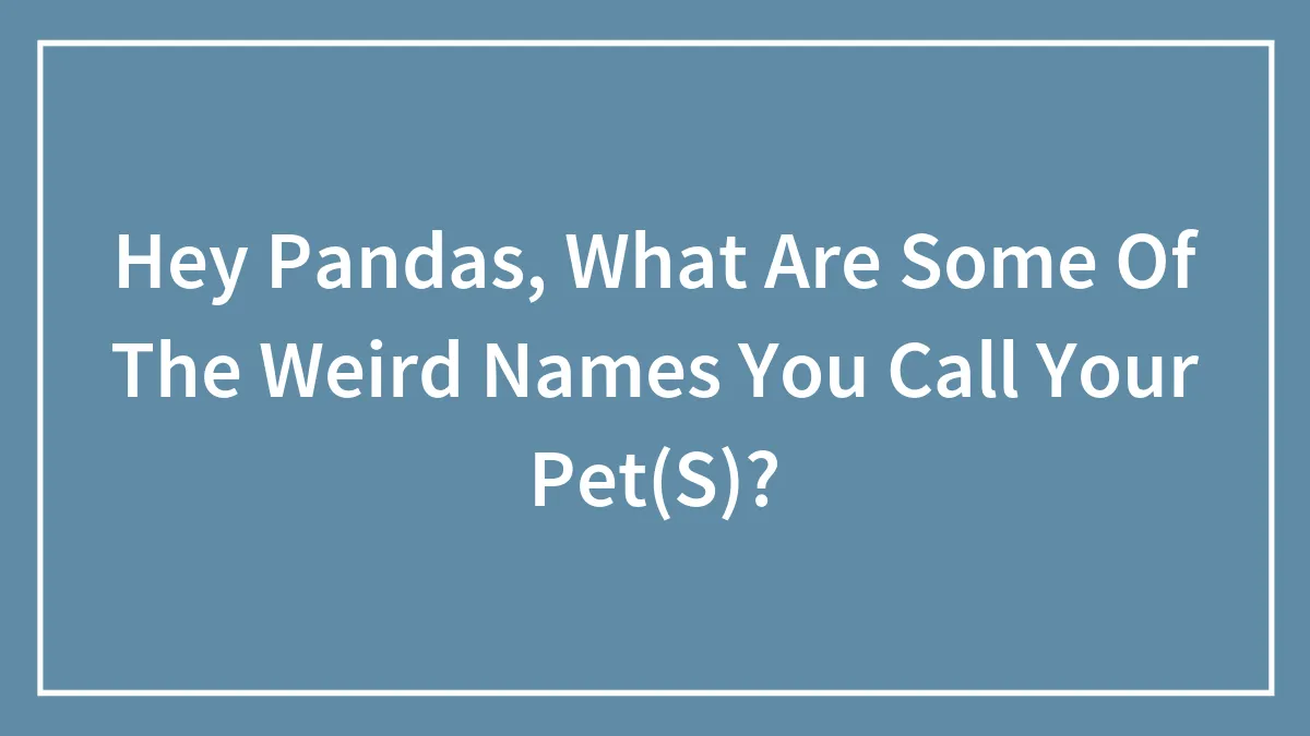 Hey Pandas, What Are Some Of The Weird Names You Call Your Pet(S)?