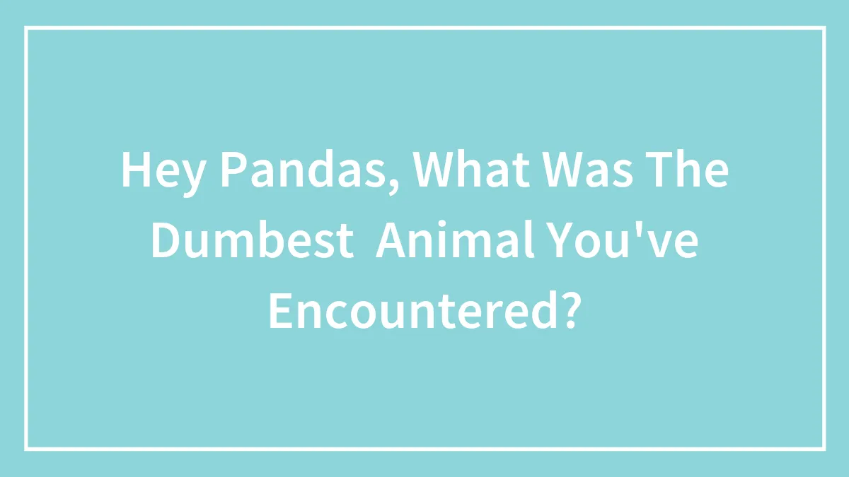 Hey Pandas, What Was The Dumbest  Animal You've Encountered? (Closed)