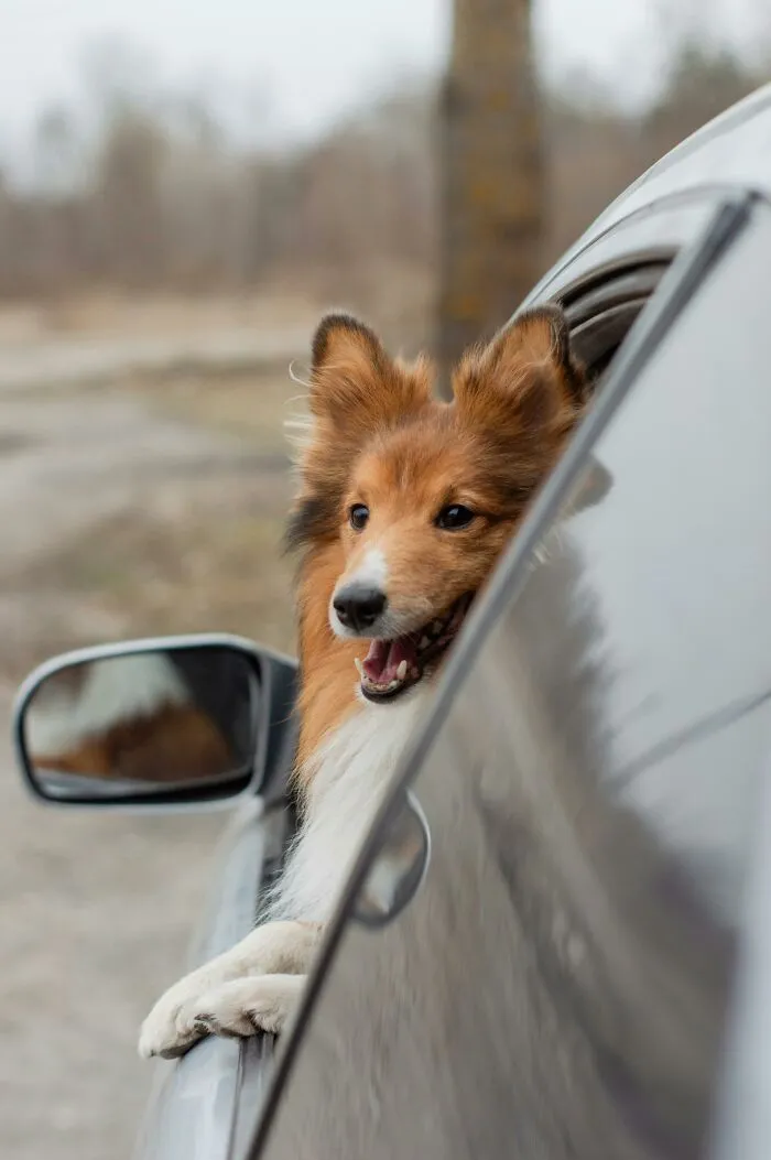 The Fastest Ways To Get Your Car Cooling Down This Summer