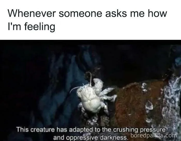 If You Are Going Through An Existential Crisis, These 50 Funny Philosophical Memes Might Help