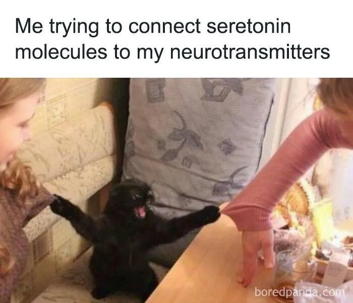 If You Are Going Through An Existential Crisis, These 50 Funny Philosophical Memes Might Help