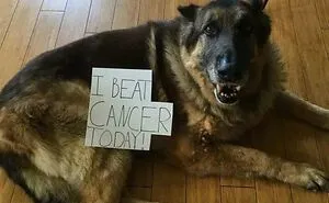 50 Positive And Uplifting Pics From The “Wholesome Meets The Internet” Page