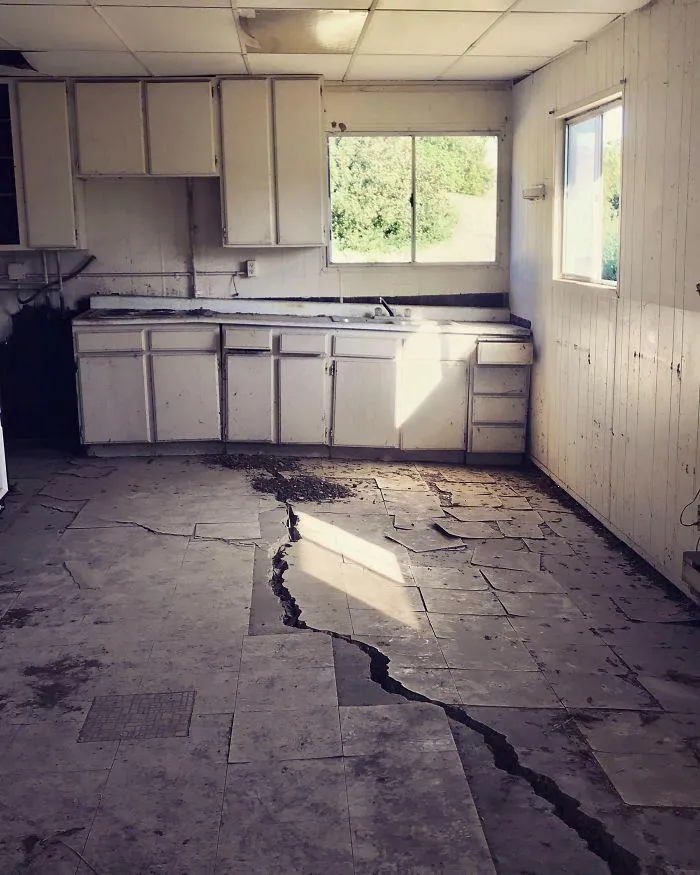 50 Horrifying Things Workers Saw During Structural Inspections (Best Of All Time)