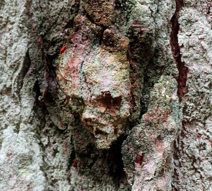Nature Is Creepy