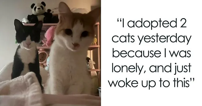 50 Soul-Warming Photos Of Newly Adopted Pets Embracing Their New Homes (June Edition)