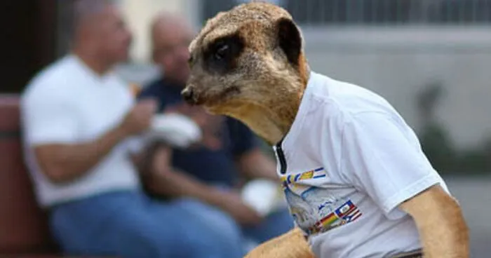 Designers Were Challenged To Dress-Up Animals In Human Clothing, Here Is How It Went (30 Pics)