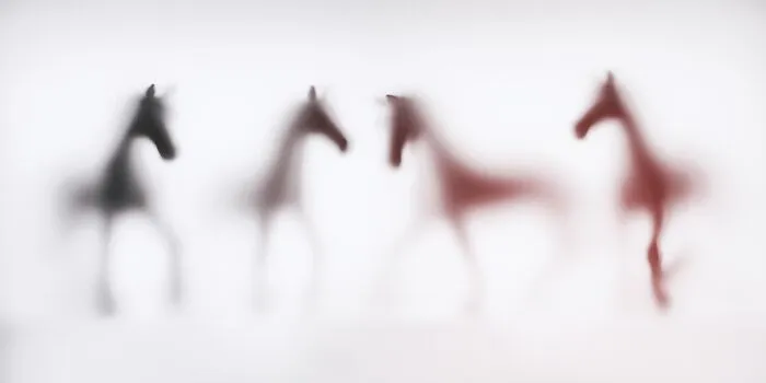 "Wild Lens" By Sven Pfrommer