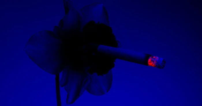 I Took 14 Photographs Of Flowers Smoking Cigarettes