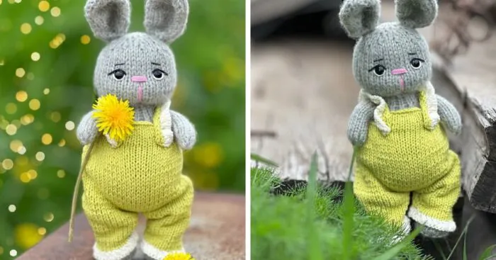 My Knitted Cute Bunnies