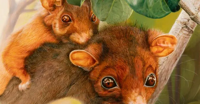 I Am Releasing Limited Edition Prints Of My Original Oil Painting "Piggyback Baby"