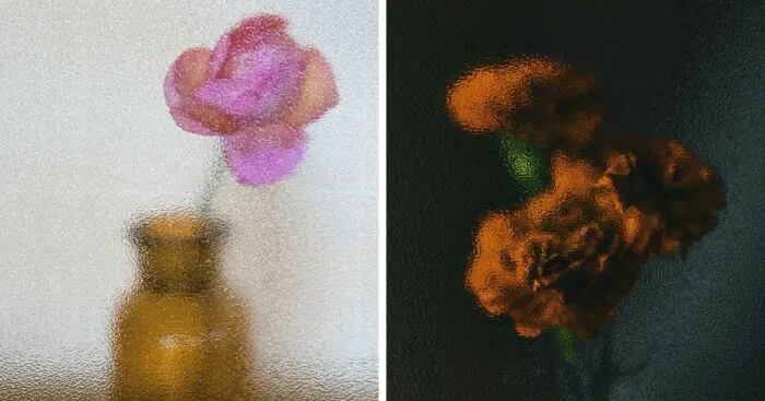 My 11 Photos Capturing The Essence Of Stillness