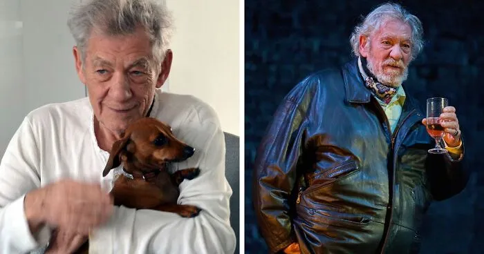 "Help Me, Help Me": Sir Ian McKellen Screams In Pain After Tumbling Off Stage During Performance