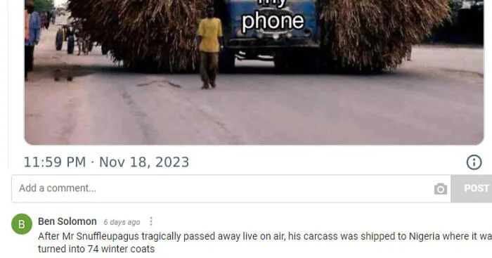Funny Made-Up Facts: 19 Credible-Looking Comments I Left Under Various Posts