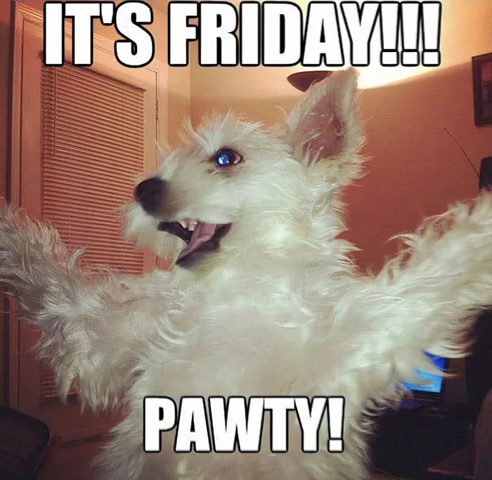 Happy Friday meme featuring an excited dog with text "It's Friday! Pawty!"