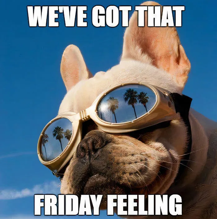 Bulldog wearing goggles with palm trees reflected, evoking happy Friday vibes.