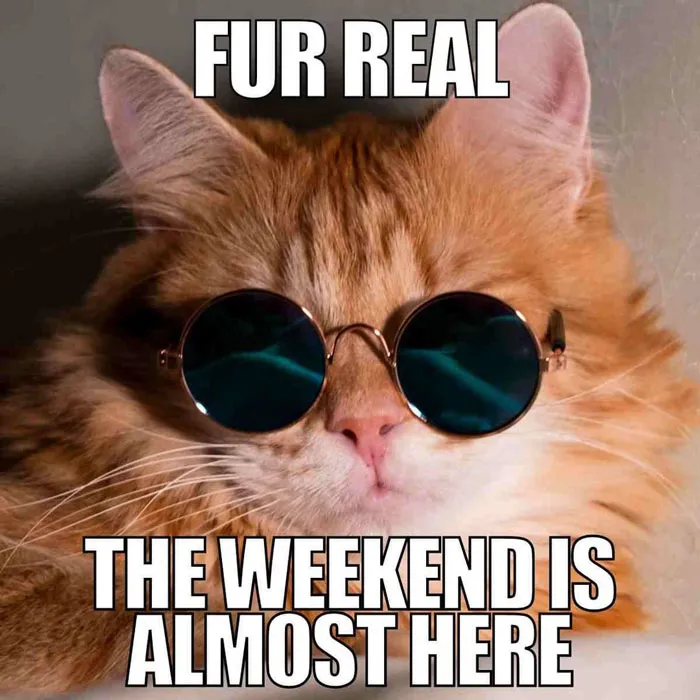 Ginger cat in sunglasses with text "Fur real, the weekend is almost here," representing a happy Friday meme.