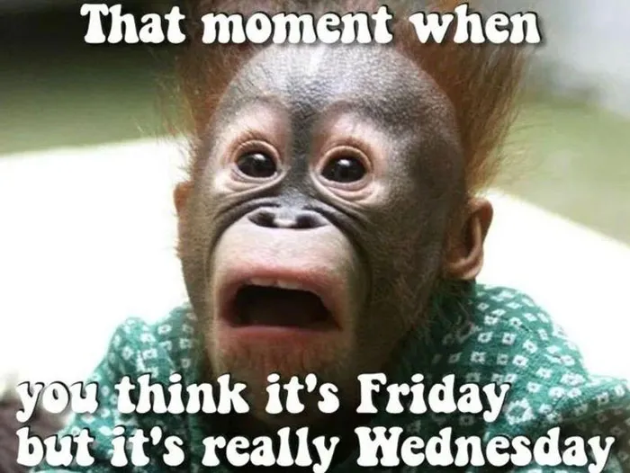 A surprised orangutan meme captioned "That moment when you think it's Friday but it's really Wednesday," perfect for happy Friday memes.