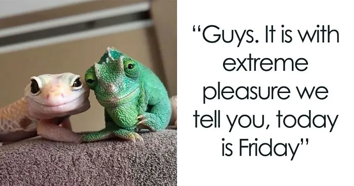 102 Happy Friday Memes To Kickstart Your Weekend, Voted By Readers (New Memes)