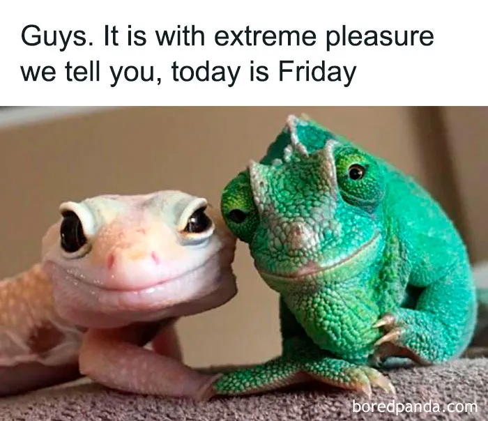Important Announcement