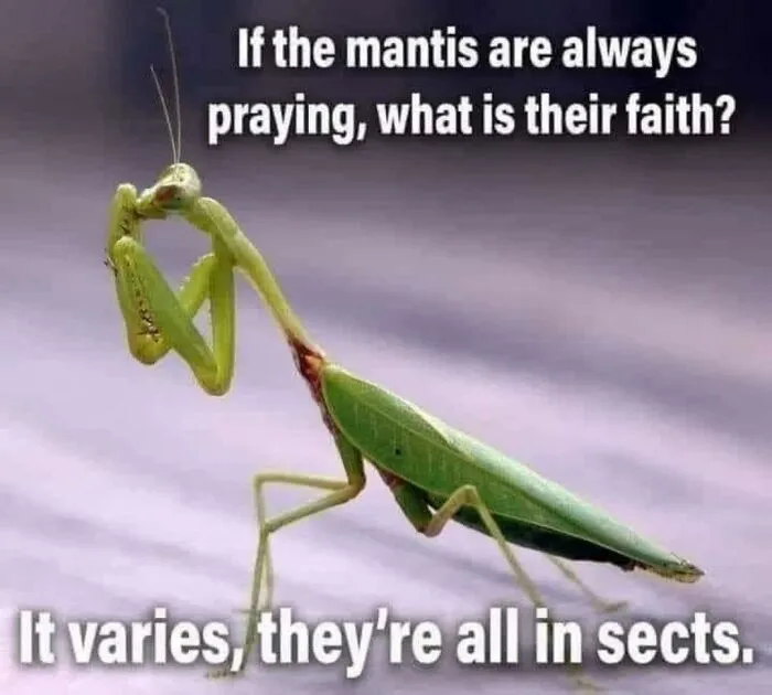 This Facebook Page Shared 50 Funny Puns That Deserve More Appreciation