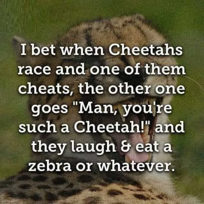 This Facebook Page Shared 50 Funny Puns That Deserve More Appreciation