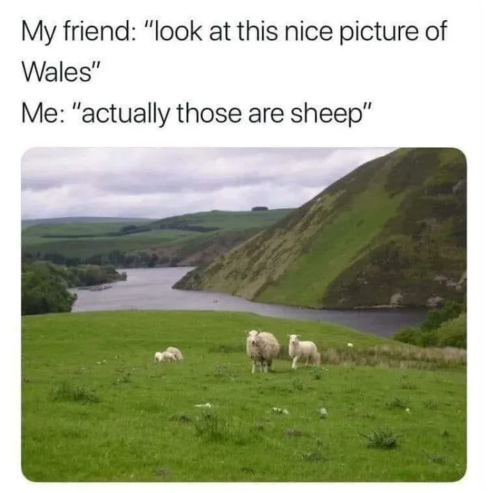 This Facebook Page Shared 50 Funny Puns That Deserve More Appreciation
