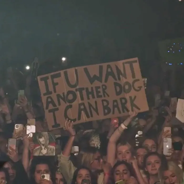 This Fan Sign For Louis Tomlinson At The Away From Home Festival