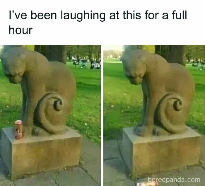 Feel-Good Animal Memes: 50 Reasons To Smile Today