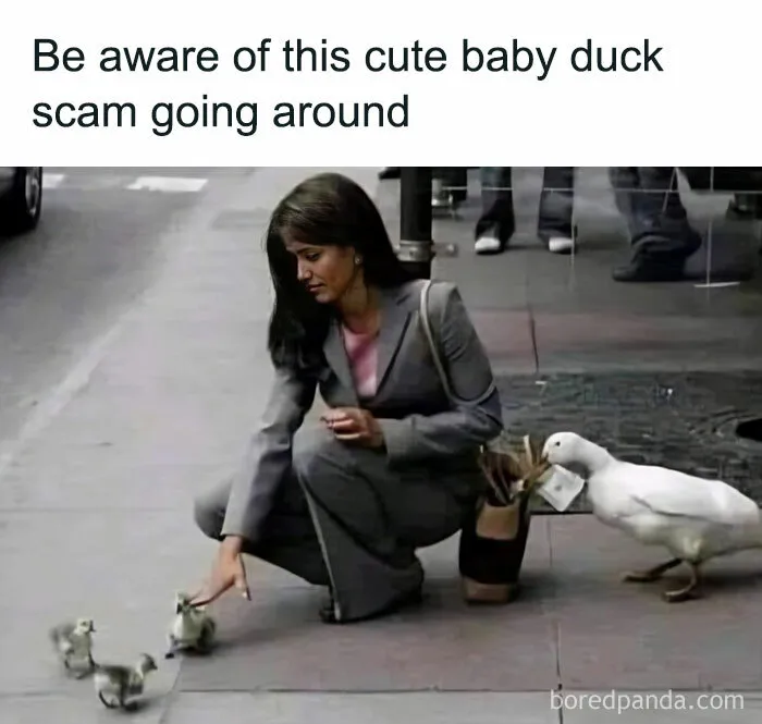 Feel-Good Animal Memes: 50 Reasons To Smile Today
