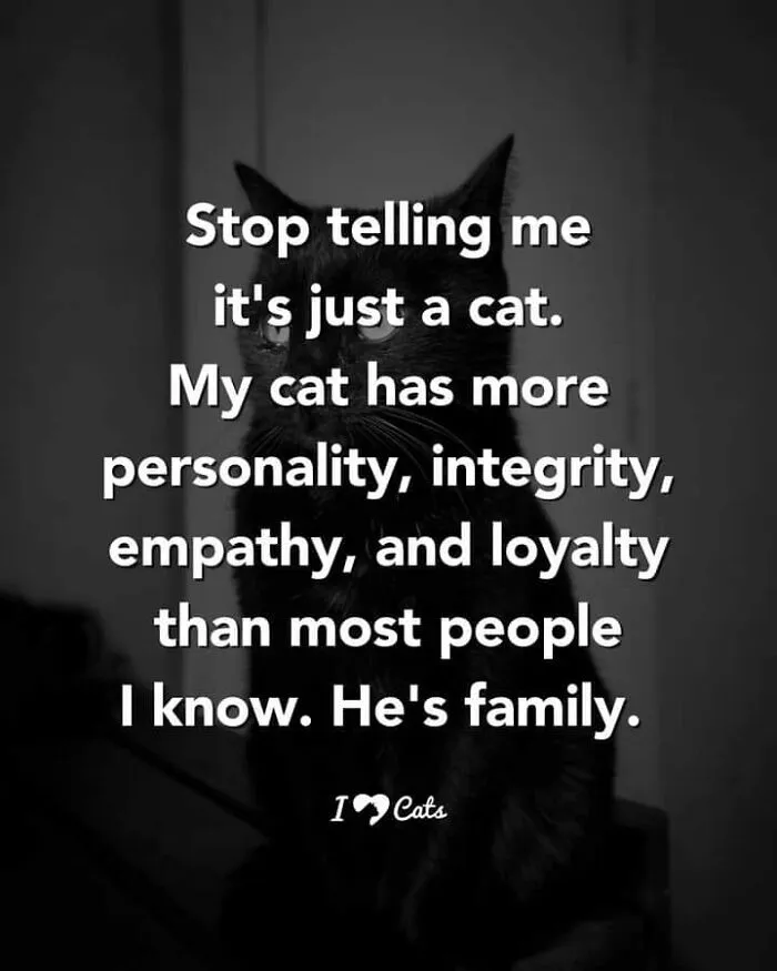 Feel-Good Animal Memes: 50 Reasons To Smile Today