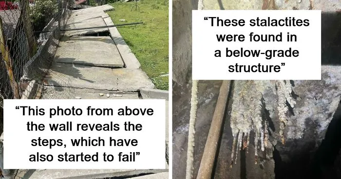 30 Times Building Inspectors Uncovered Horrifying Things While On The Job (New Pics)