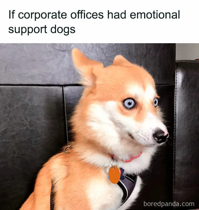 This Instagram Page Shares 50 Funny Memes About Work That You Shouldn’t Be Reading At Work